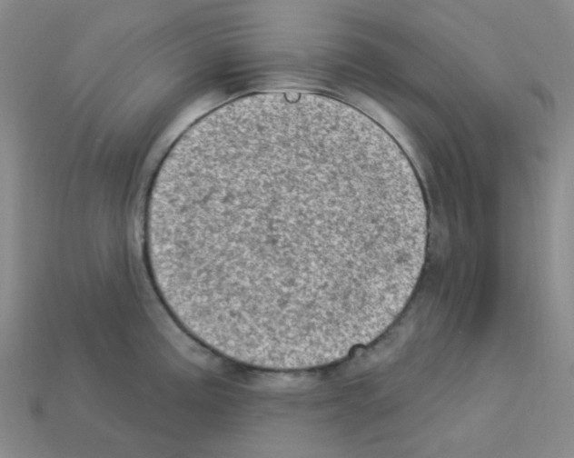 X0000112781195200910011251