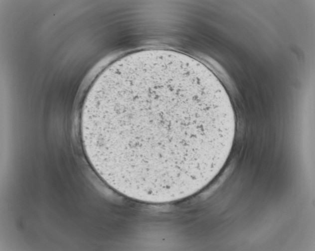 X0000112781196200910011251