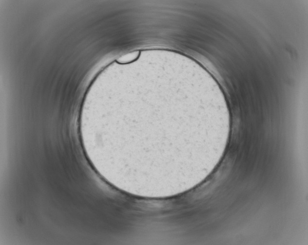 X0000112781197200910011251