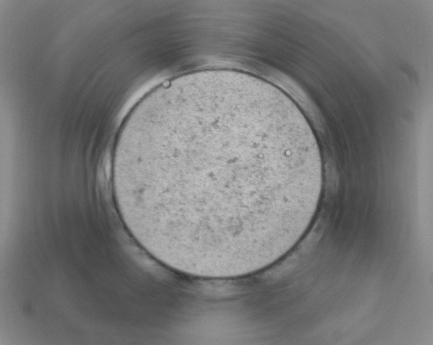 X0000112781198200910011251