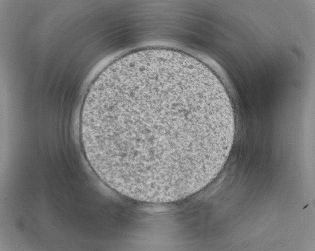 X0000112781199200910011251