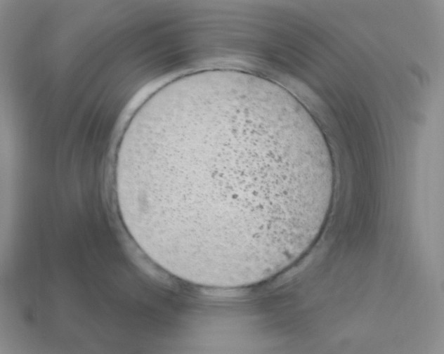 X0000112781200200910011251