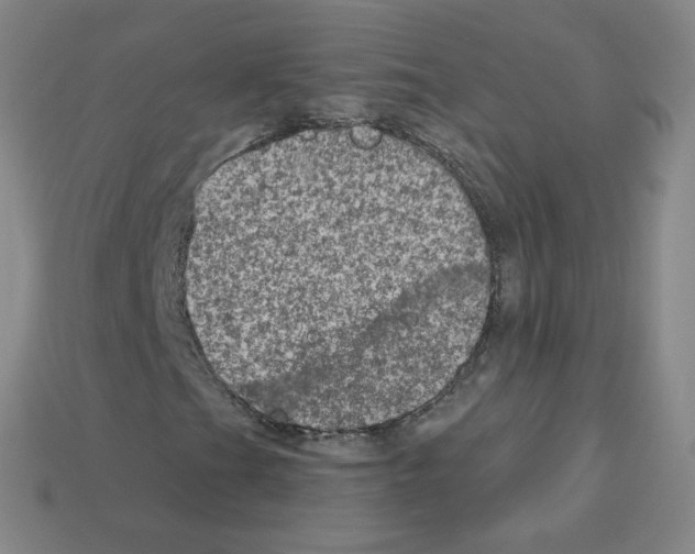 X0000112781201200910011250