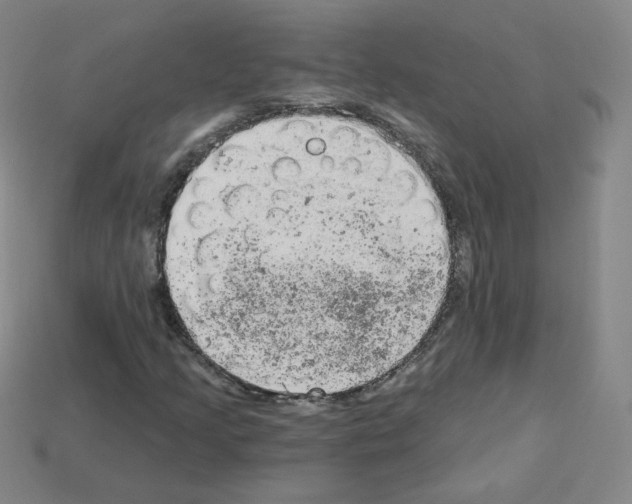 X0000112781205200910011250