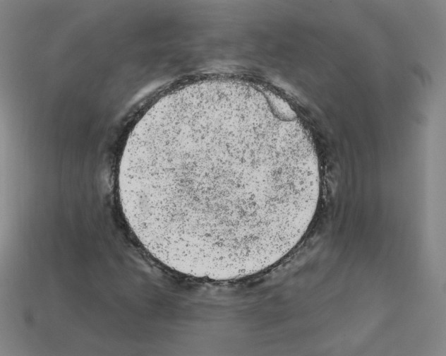 X0000112781206200910011250