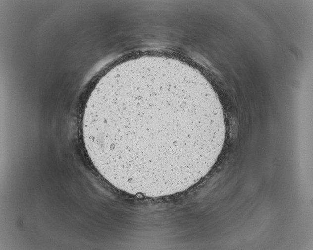 X0000112781208200910011250