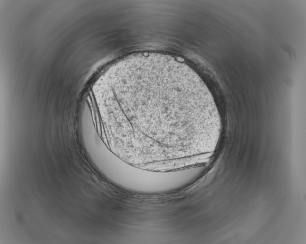 X0000112781210200910011250