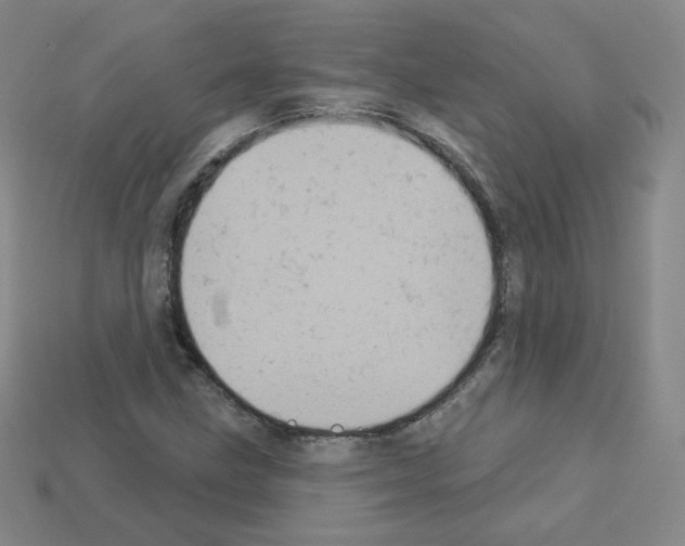 X0000112781211200910011250