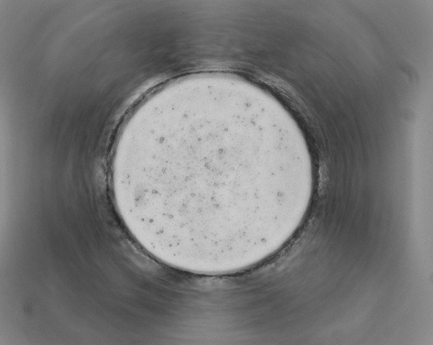 X0000112781212200910011250