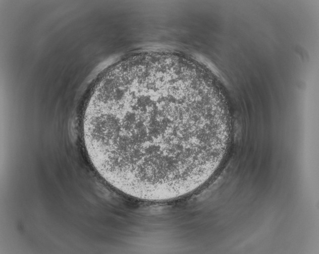 X0000112781213200910011250