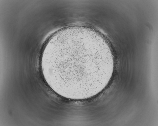 X0000112781214200910011250