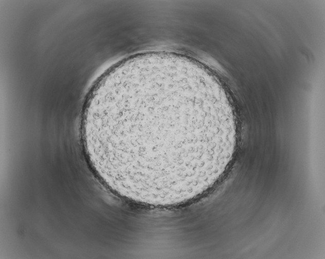 X0000112781216200910011250