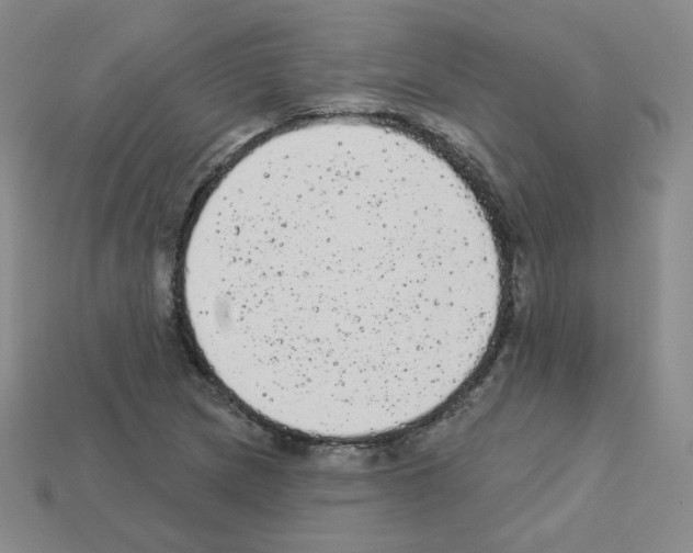 X0000112781217200910011250