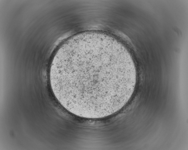 X0000112781218200910011250