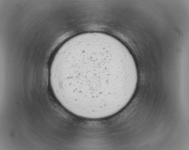 X0000112781219200910011250