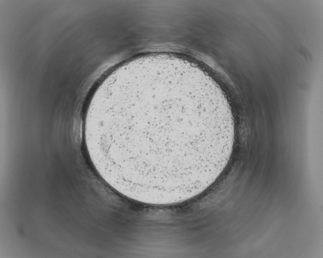 X0000112781221200910011250