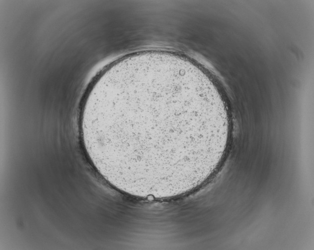 X0000112781222200910011250