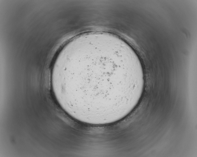 X0000112781223200910011250