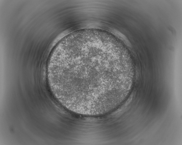 X0000112781226200910011251