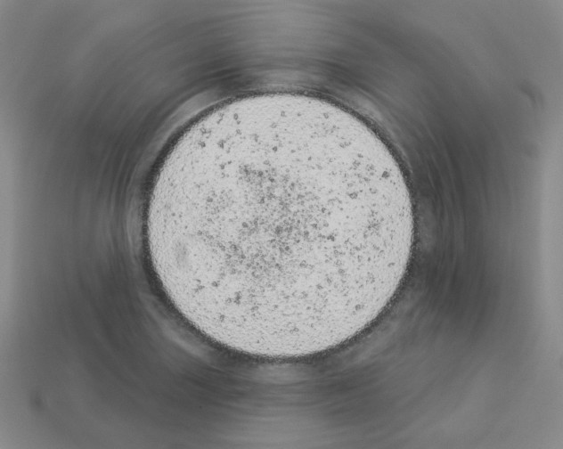 X0000112781227200910011251