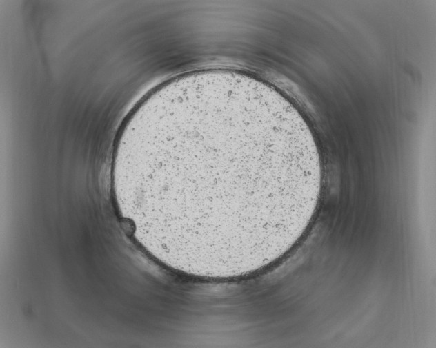 X0000112781228200910011251