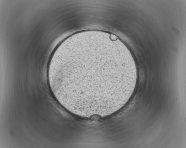 X0000112781230200910011251