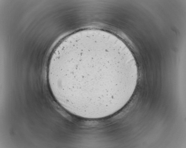 X0000112781232200910011251