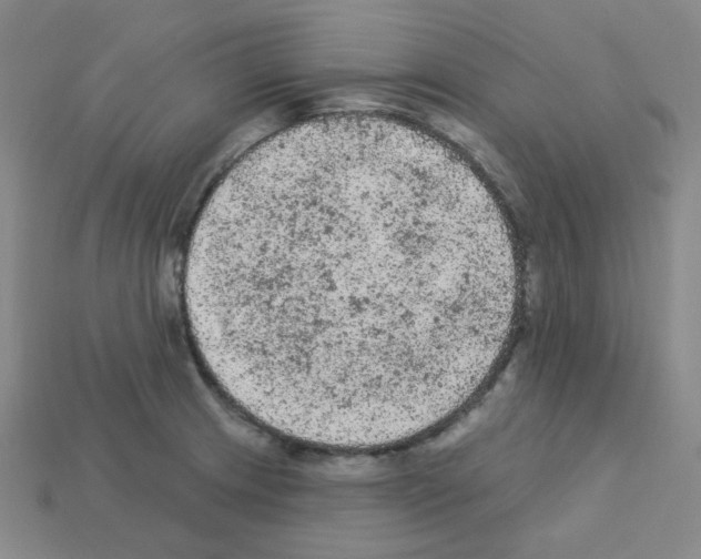 X0000112781233200910011251