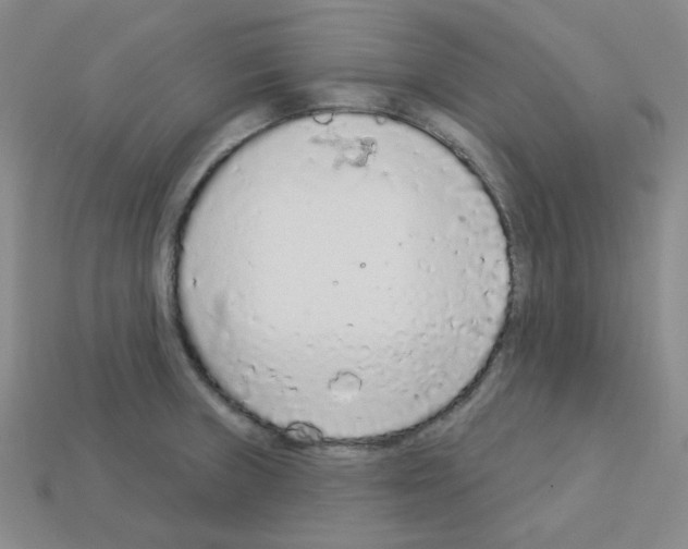 X0000112781235200910011251