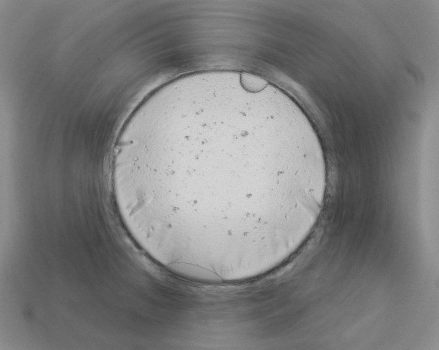 X0000112781236200910011251