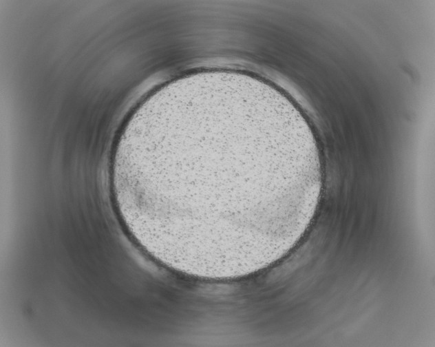 X0000112781237200910011251