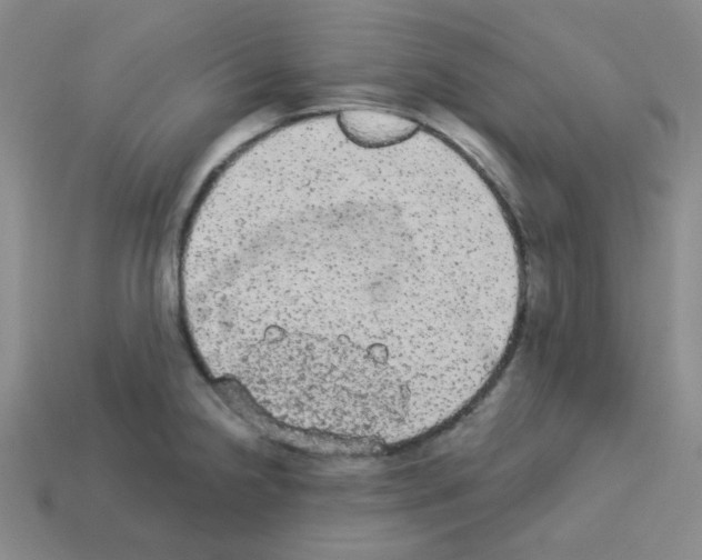 X0000112781238200910011251