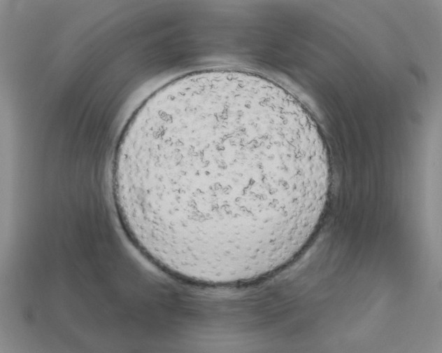 X0000112781239200910011251