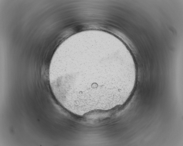 X0000112781241200910011251