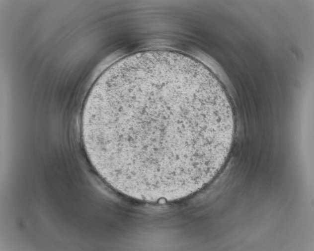 X0000112781242200910011251