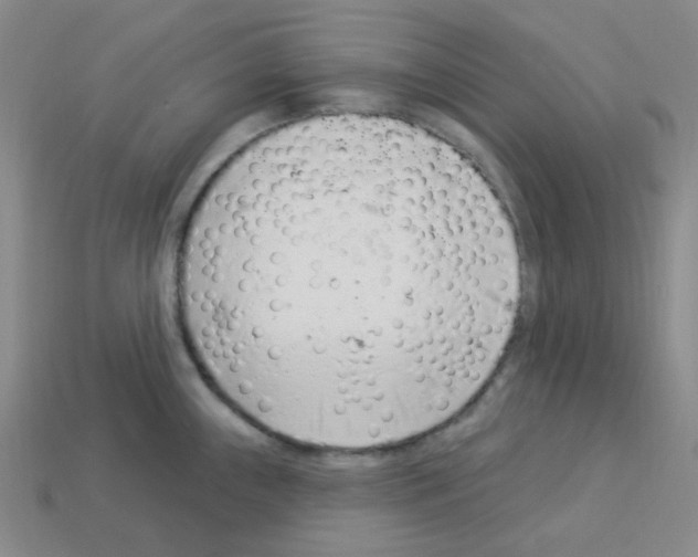 X0000112781243200910011251