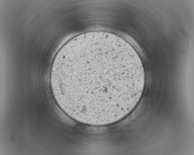 X0000112781244200910011251