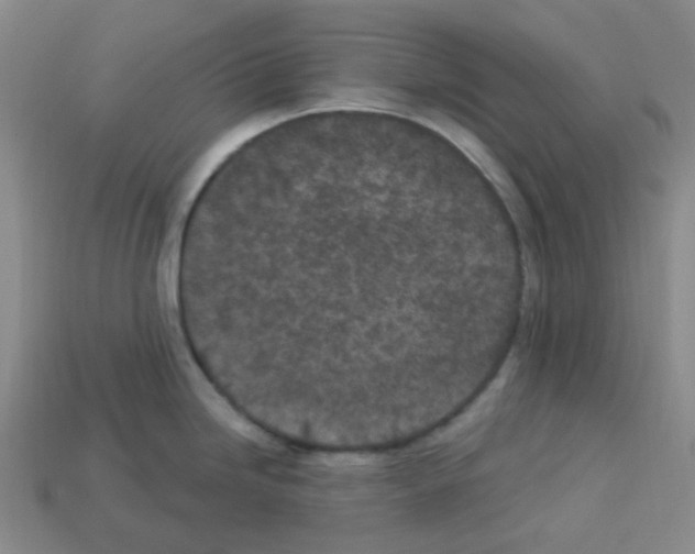 X0000112781246200910011251