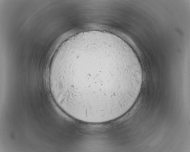 X0000112781247200910011251