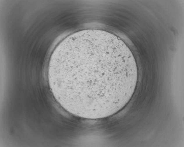 X0000112781248200910011251