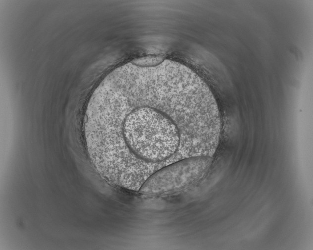 X0000112781249200910011250