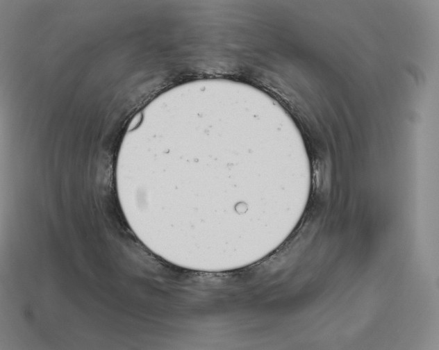 X0000112781251200910011250