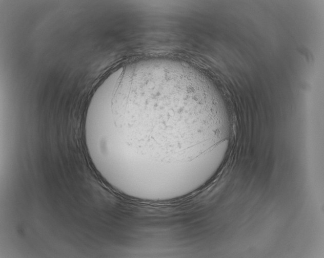 X0000112781252200910011250