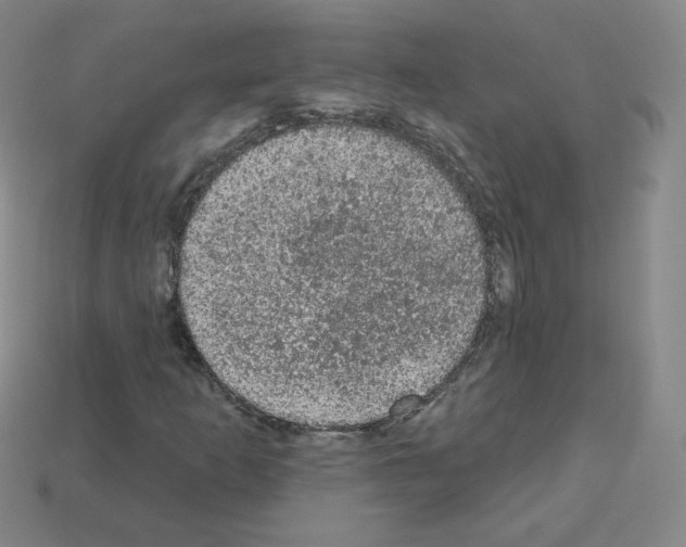 X0000112781253200910011250