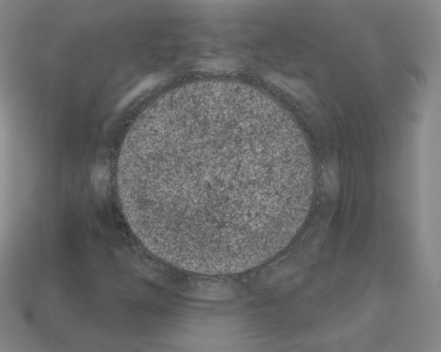 X0000112781254200910011250