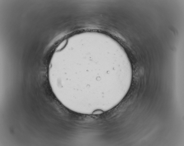 X0000112781255200910011250