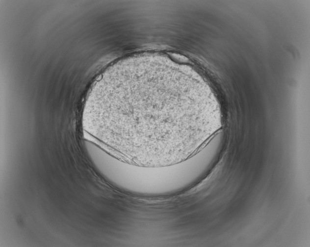 X0000112781257200910011250