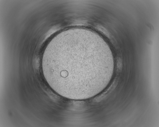 X0000112781258200910011250