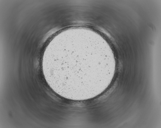 X0000112781259200910011250