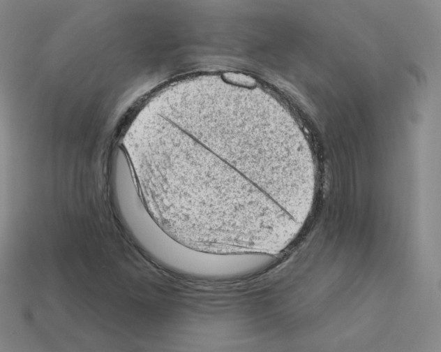 X0000112781261200910011250